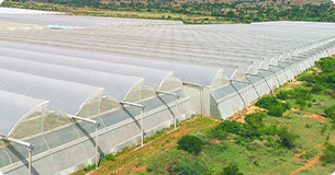 upload/1c/202508/Greenhouse Film.jpg